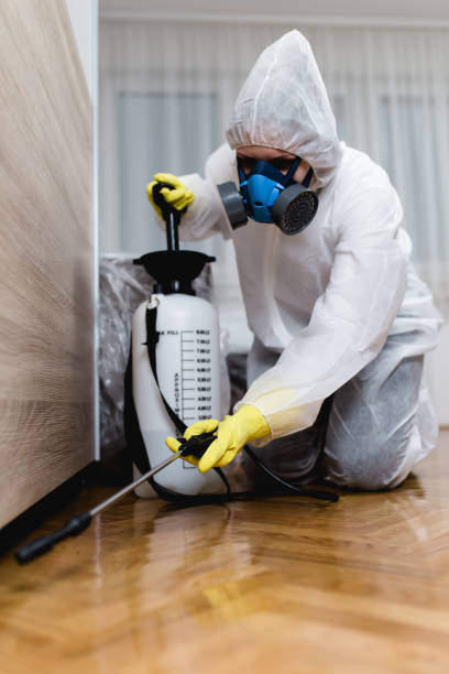 Best Termite Inspection and Treatment  in Northfield, KY